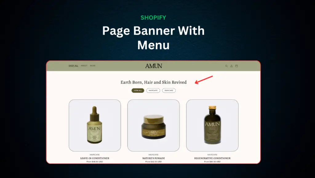How to Add Category Filter to Your Shopify Product or Blog Pages, A Simple Solution
